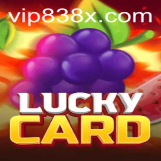 Exploring the Exciting World of LuckyCard 838X