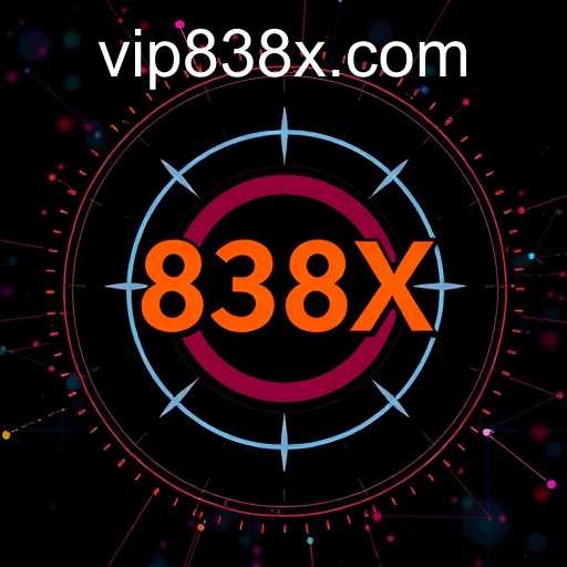 The Dynamics of Promotions in the Business World: Understanding '838X'